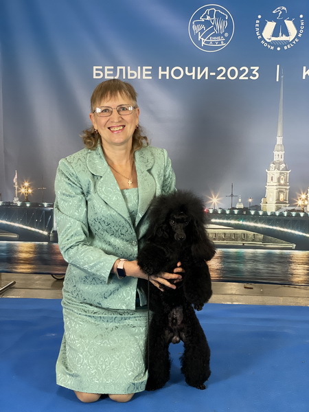 https://i.postimg.cc/9Q0pCG6w/IMG-9394.jpg