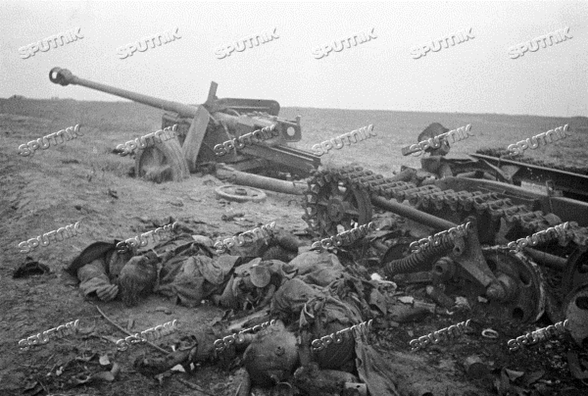 На подступах к Киеву. Убитые немцы и разбитая техника на поле боя.