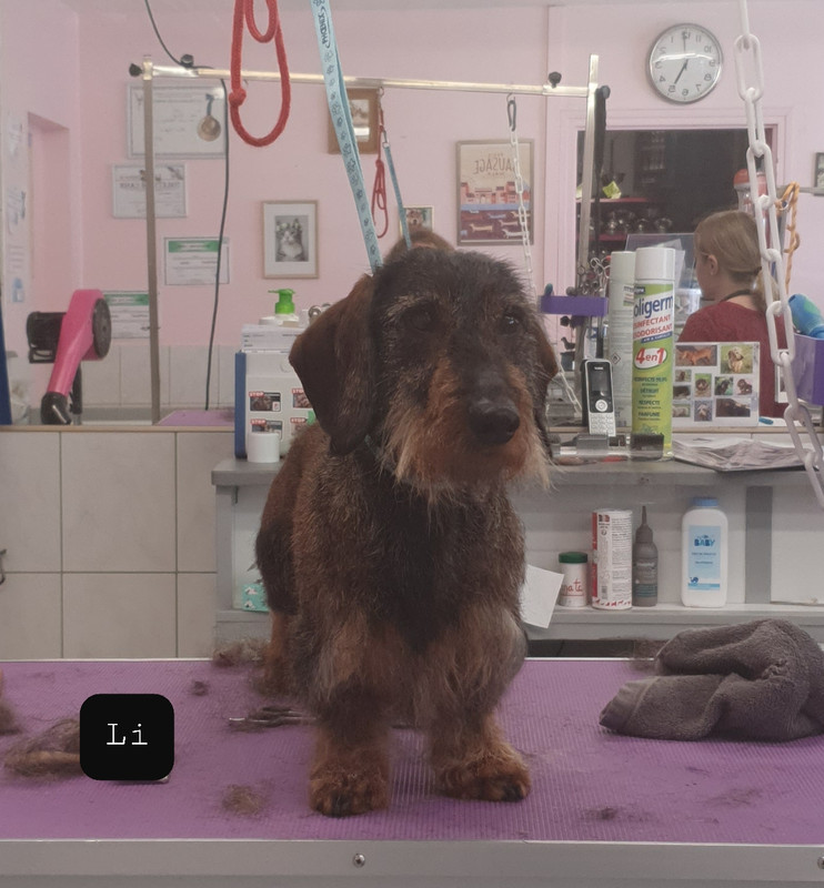 [Image: 20220513-170911.jpg]