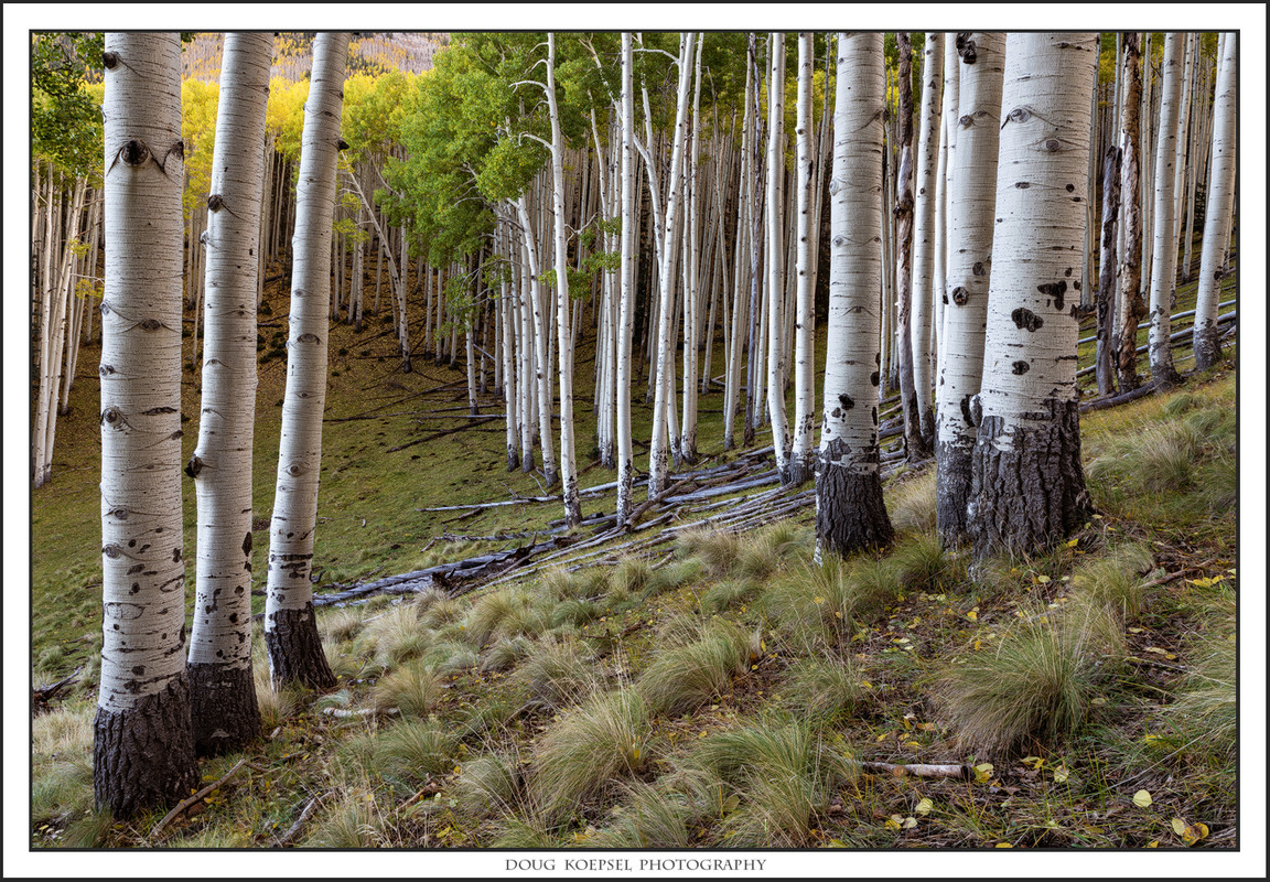 Ed1400-5Lockett10-14-18_0531 copy