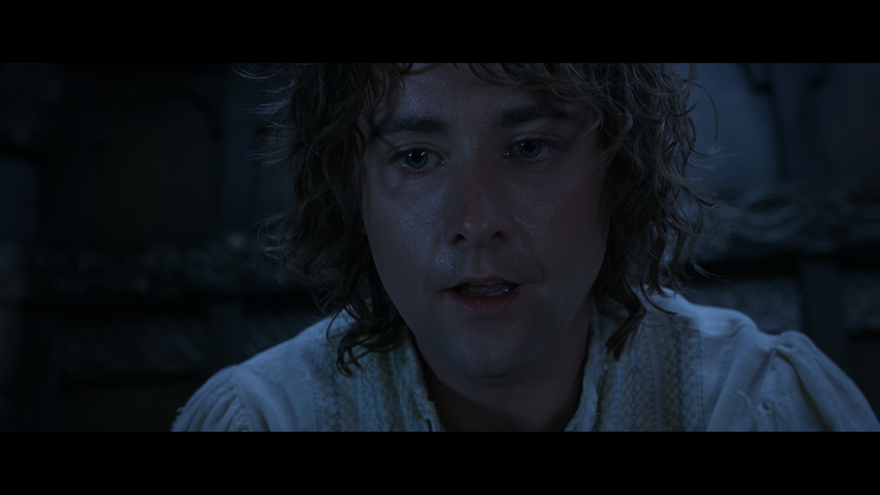 The Lord of the Rings- The Return of the King (EXT.) PT. 1.mkv_snapshot_00.30.26_[2020.12.15_18.37.1