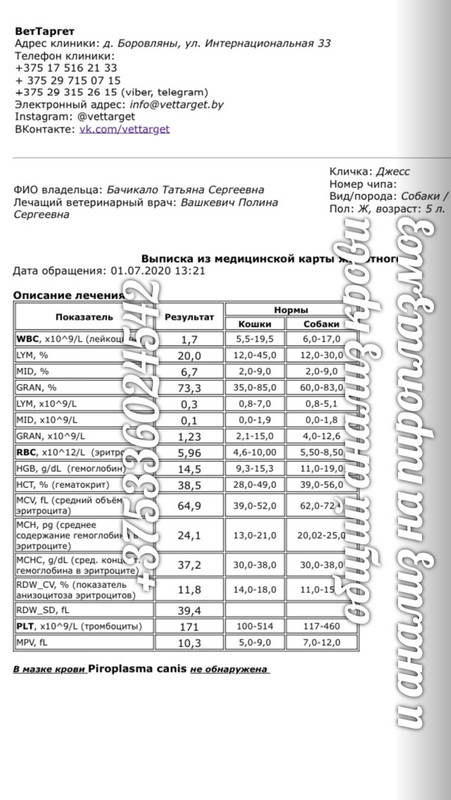 таргет кровь