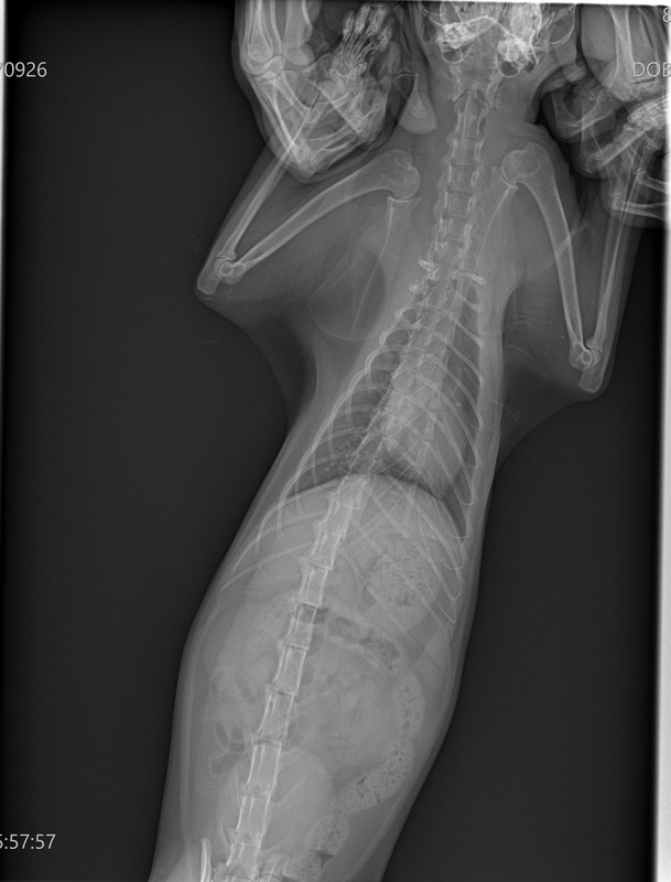 461CE651-7087-4340-B116-405BBEB65F1A