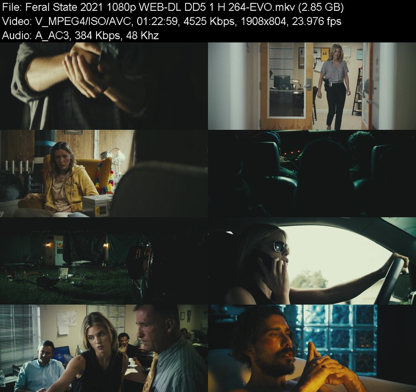 feral-state-2021-1080p-web-dl-dd5-1-h-26