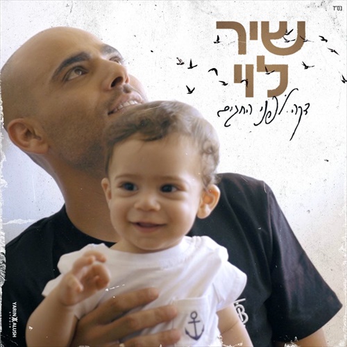 תמונה