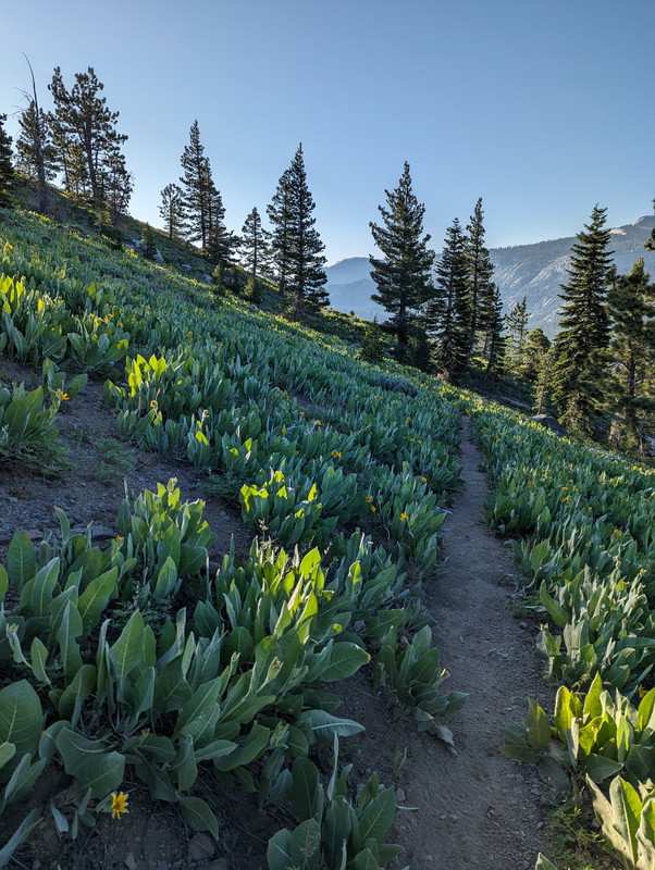 PXL_20250710_141931031