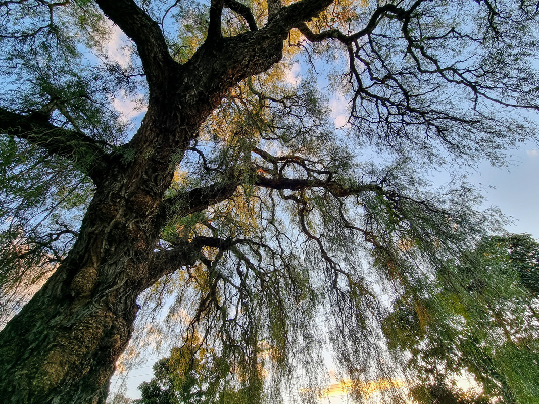 20210923-180224.jpg