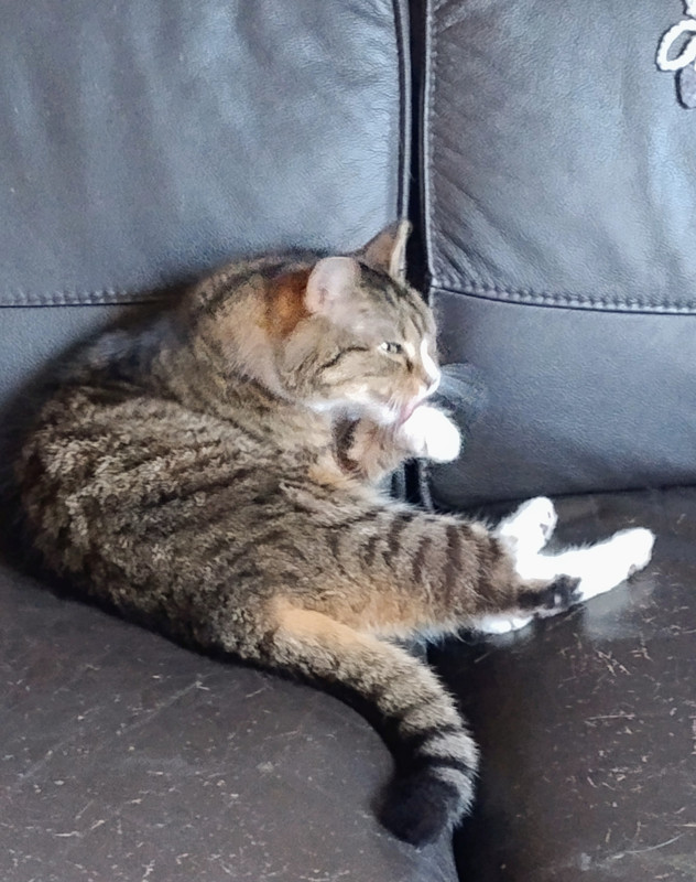 IMG 20260318 150747306 AE