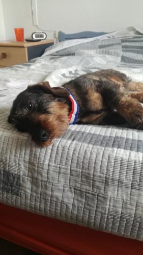 [Image: 2b4ac6f0b5d3aa83e7470d8645a8b365.jpg]