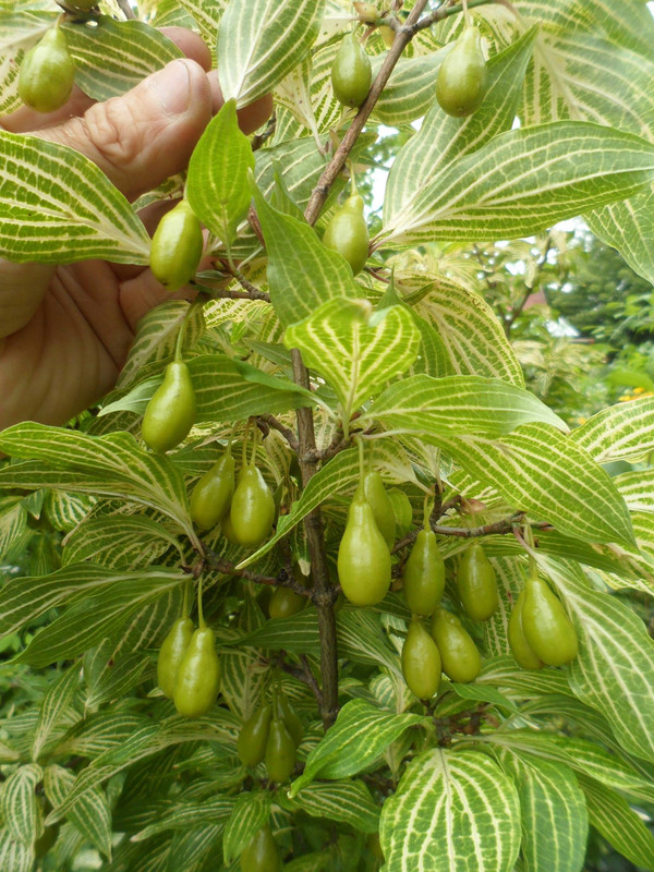 7BDEE5B0-F255-48D0-9DE5-B5D6591E6BF1