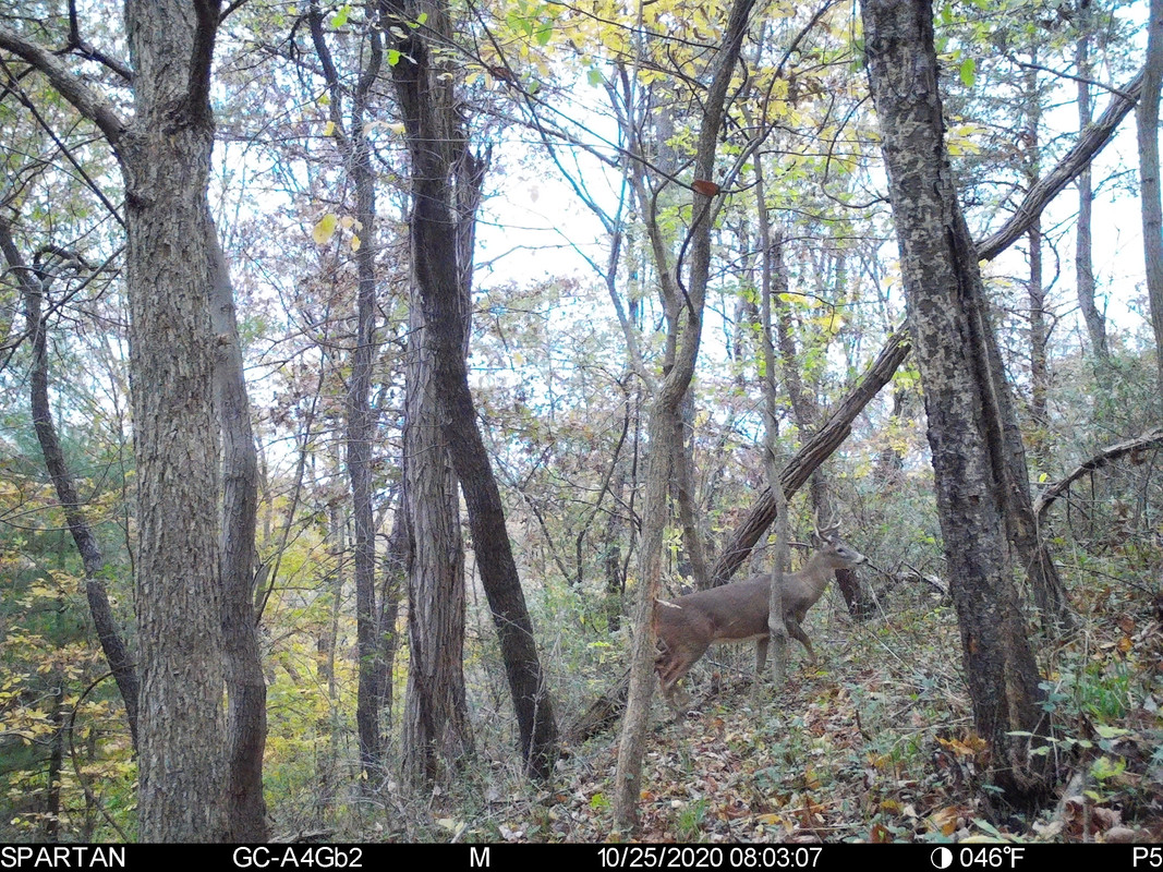 8 C649962 9 C17 403 F A117 DCDBBEEE82 C2 — Postimages