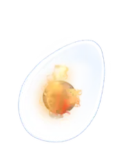 https://i.postimg.cc/9Q27q9GN/IMG-2371.webp