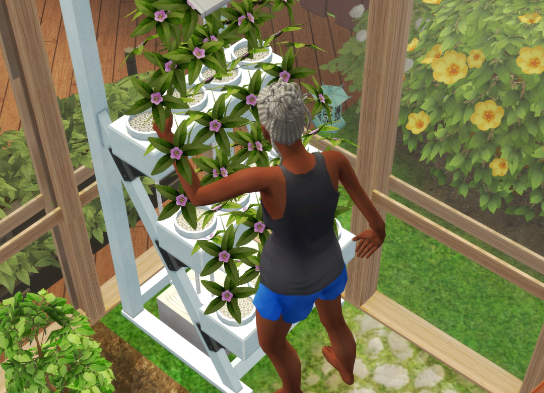 Sims2-EP9-RPC-2023-10-20-19-28-09-62