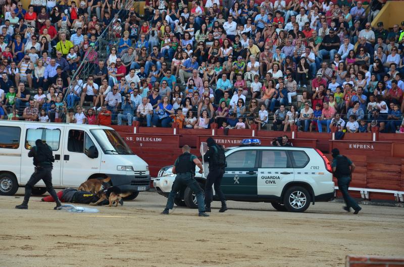 Exhibición Guardia Civil-30-9-2016 - Toledo y sus pueblos-1996/2026 (43)