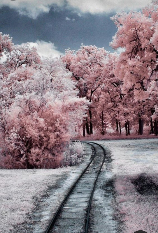 Screenshot_20231225_220117_Pinterest