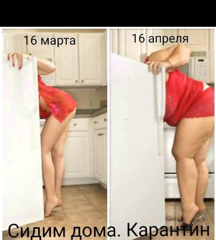 Давно сижу дома. Давно сижу дома
