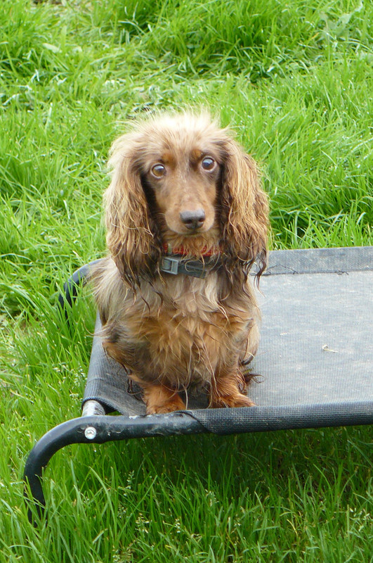 [Image: P1240463.jpg]