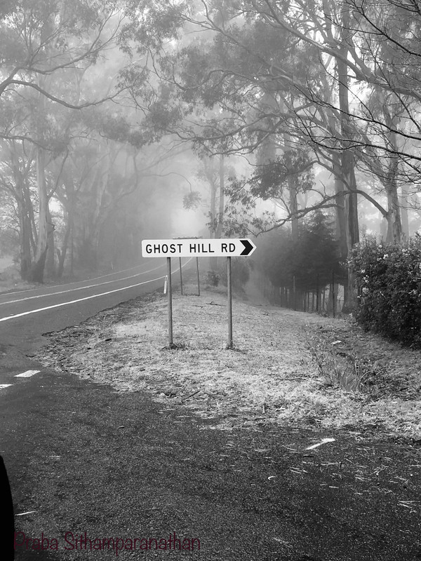 715777-E8-8-ED6-4-EE0-A23-C-652-A82-AC09