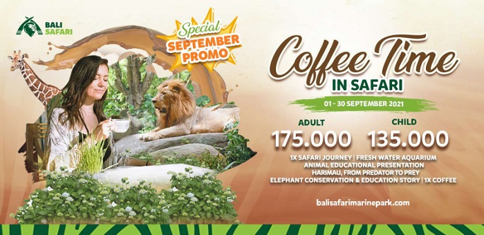 Coffee Time in Safari
