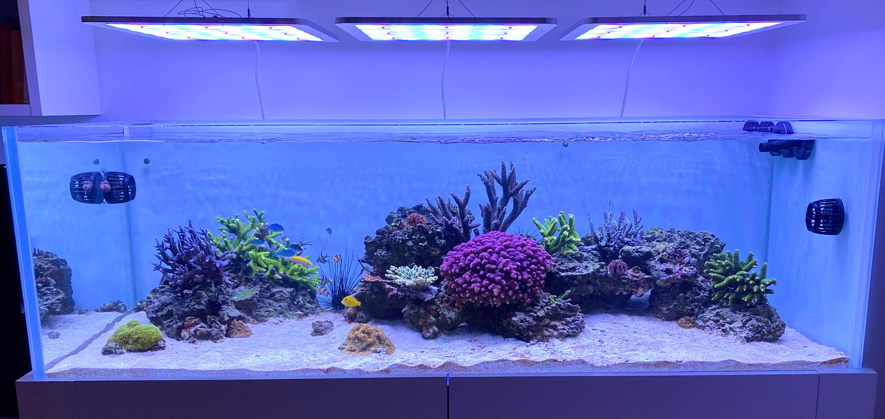 8BD60A82-9DA2-4BC5-B162-D63FA831247C