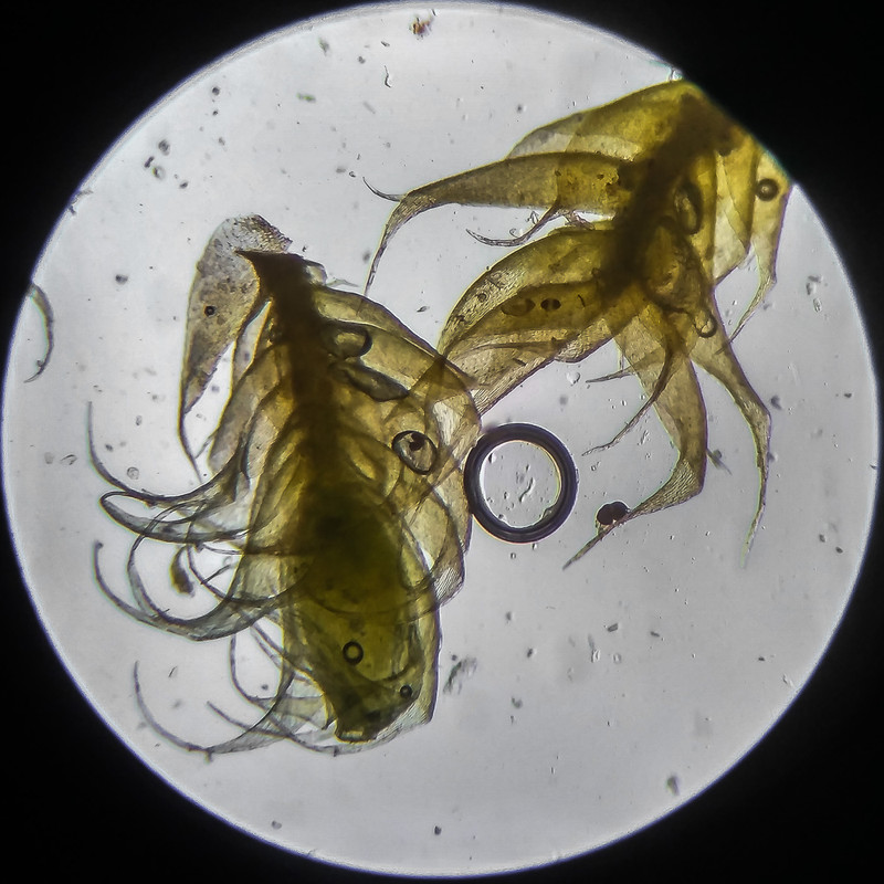 IMG 20250614 203501 HDR