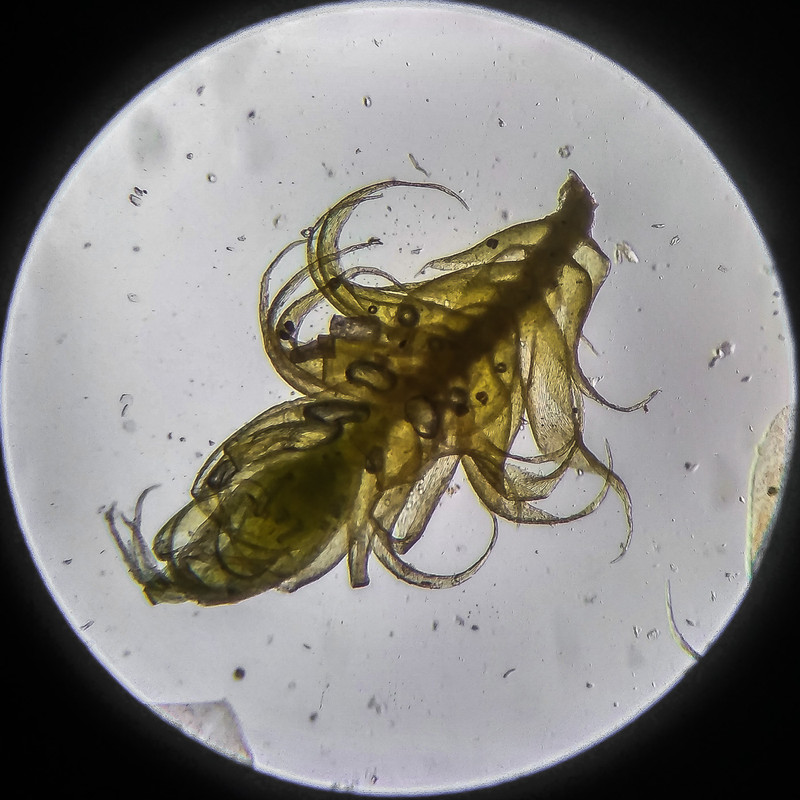 IMG 20250614 203509 HDR