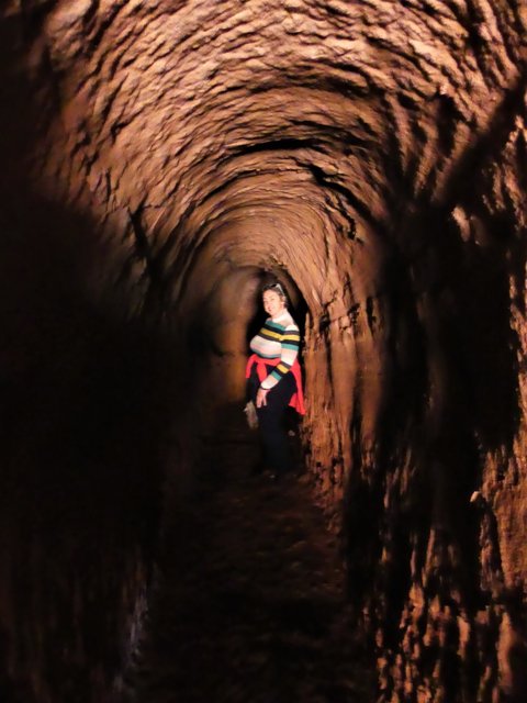 YACIMIENTO ARQUEOLOGICO DE TIERMES-16-2-2020 - Soria y sus pueblos-2010/2013/2020 (90)