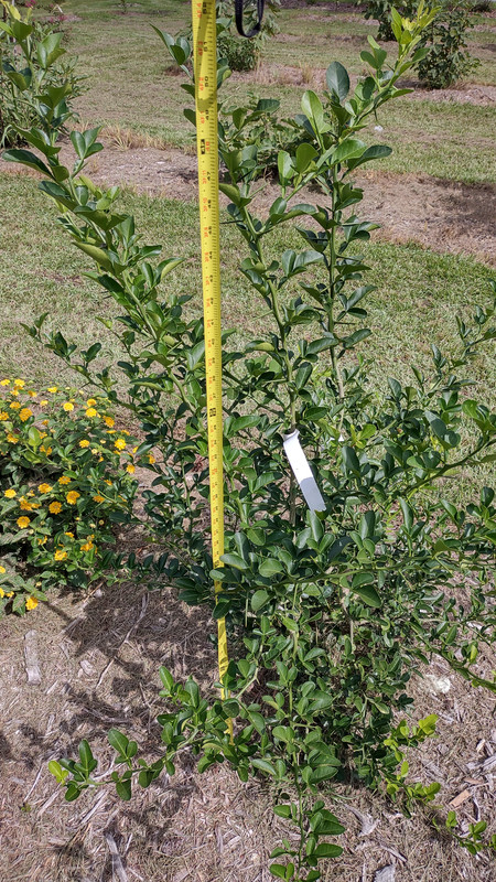 IMG_20240824_152655974_HDR