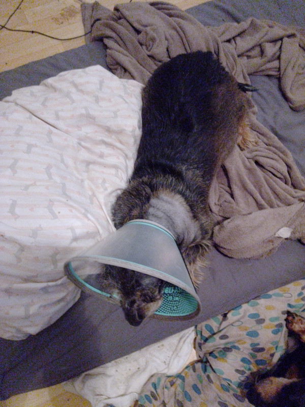 [Image: Hermes-Bien.jpg]