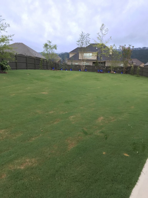 Quinclorac and sufentrazone 07-29-2020