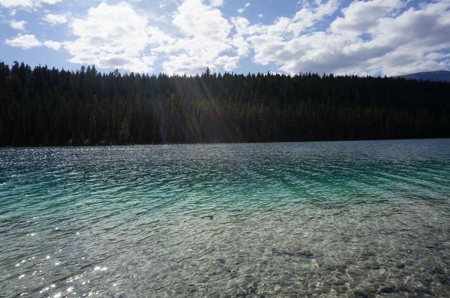 Día 4: Llegamos a Jasper - Vancouver y Rocosas Low Cost: Dos semanas por lo mejor de Canadá (5)