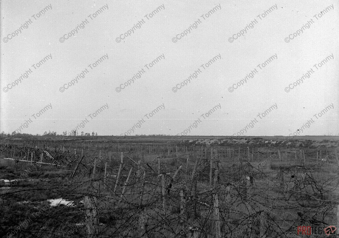 foto Front Stellung Schützengraben Stacheldraht 2