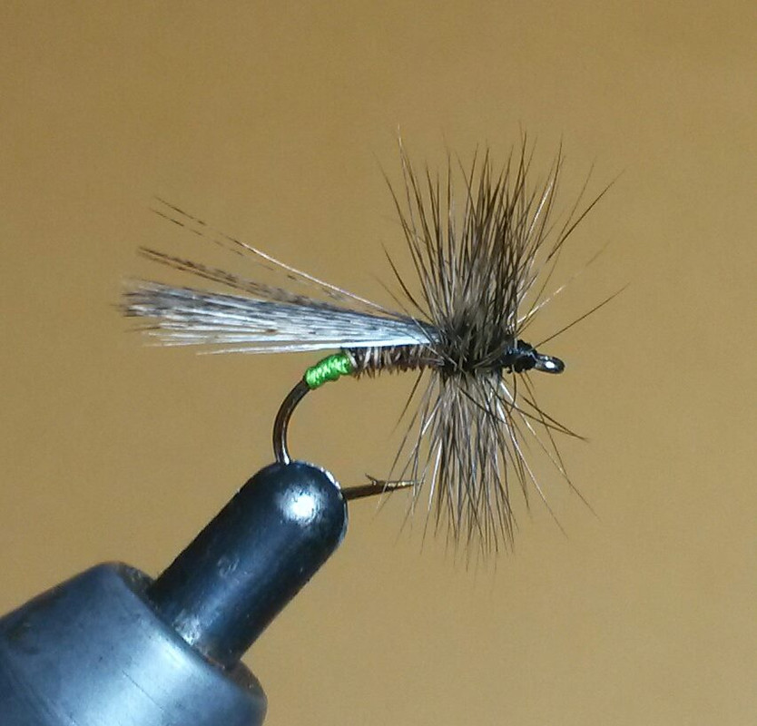 40685601_1190197557811152_8035992967409827840_n