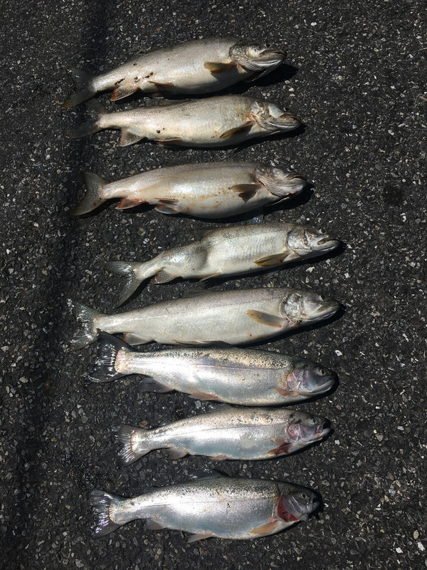 4FB15C52-589A-4C15-9F5B-F4C767987915