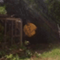 drachenlord-lumberjack.gif