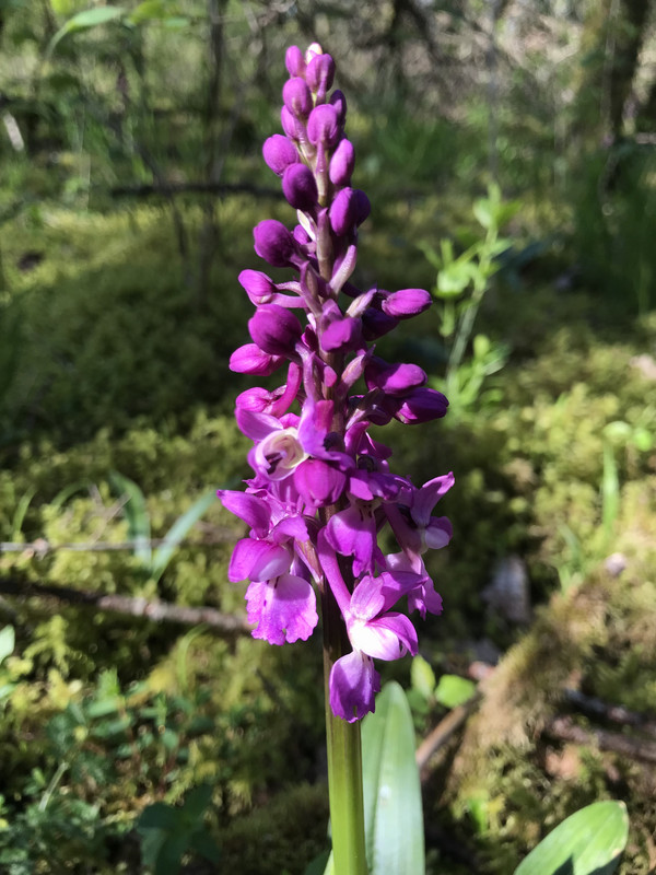 355BAE1E-B6EF-4B57-B22C-A22657FA96C2