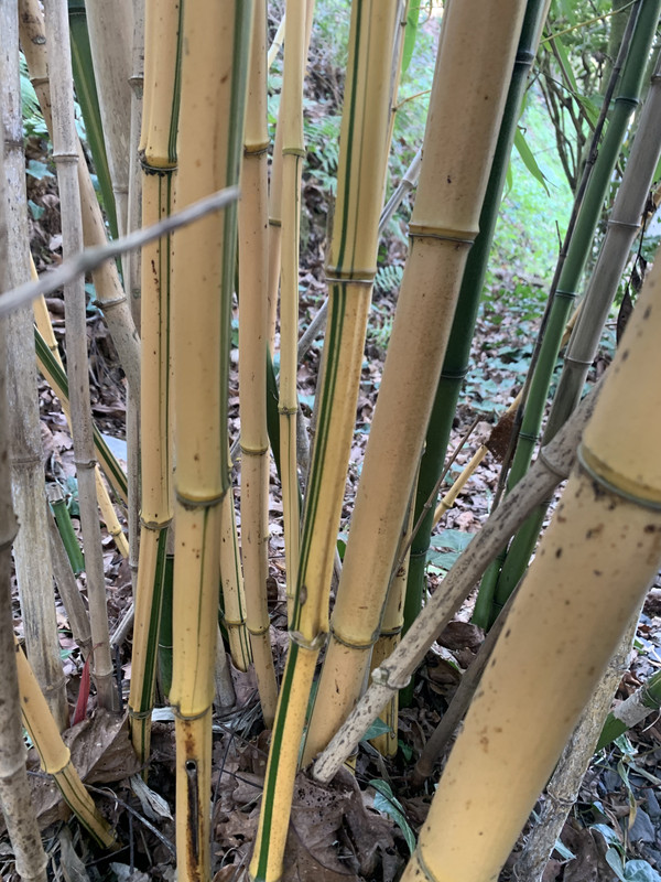 D0373CA4-7AD8-4092-8897-70B23FA146EC