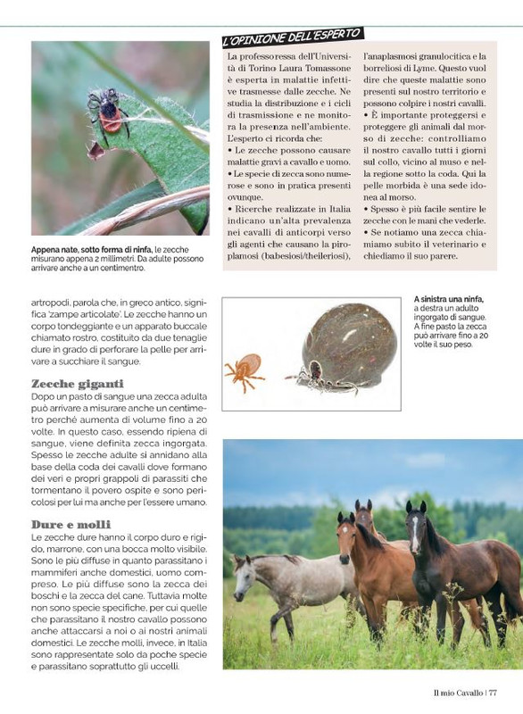 Il Mio Cav (Lug 2023) 12