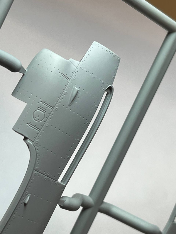 photo_2025-01-29_00-03-07