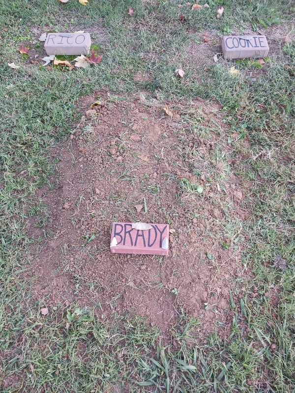 20241017_174221