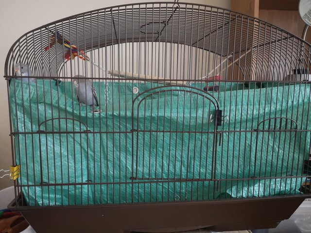 [Image: IMG-20200926-112856-resized-20200926-112917863.jpg]