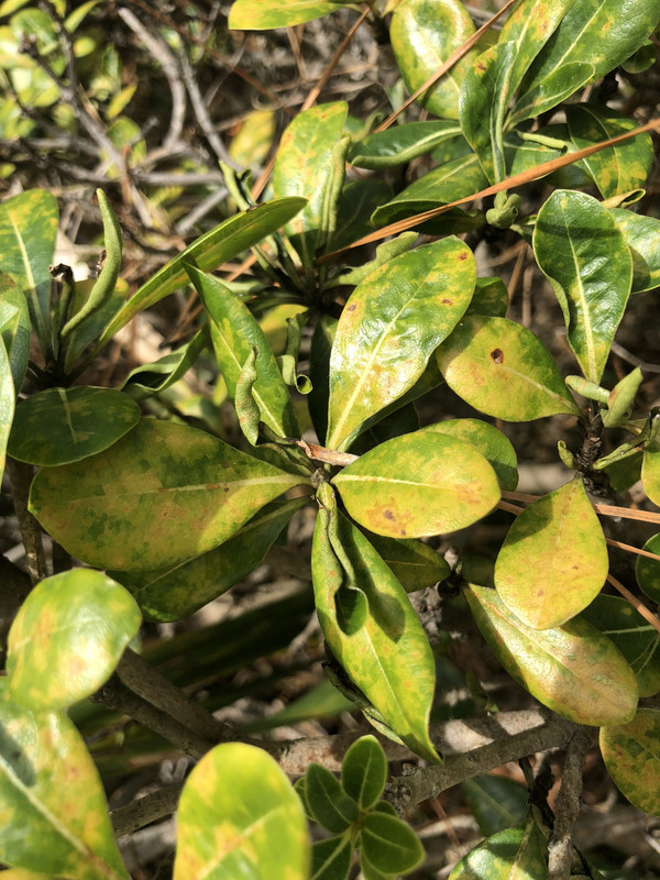 8D0FF499-00A3-43E3-848F-786E7B4EAAB3