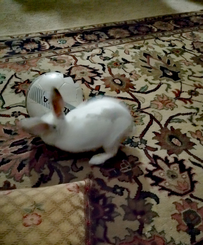 IMG_٢٠٢١٠٥٢٤_٠٣٤٥٣٦