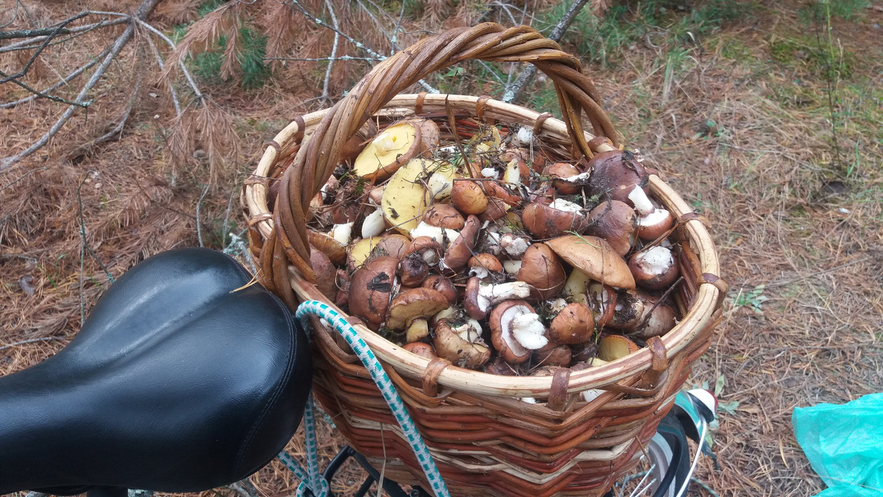 октябрь 19 069