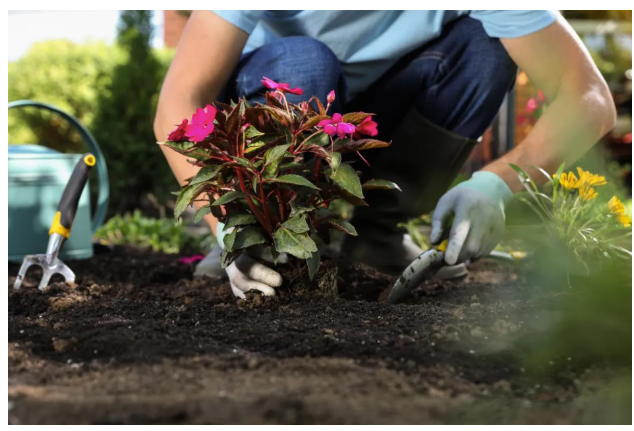 Garden Cleanup