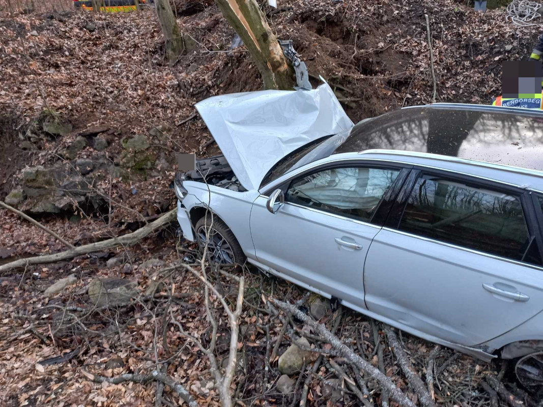 Öt métert zuhant majd fának csapódott egy Audi kombi Visegrád és  Pilisszentlászló között – baleset-info.hu