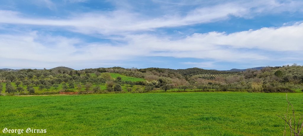 Αγροτεμάχιο