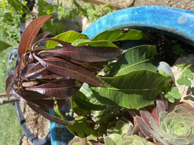 B2E78158-59AD-4BB9-9DEA-2938ABD5D56A