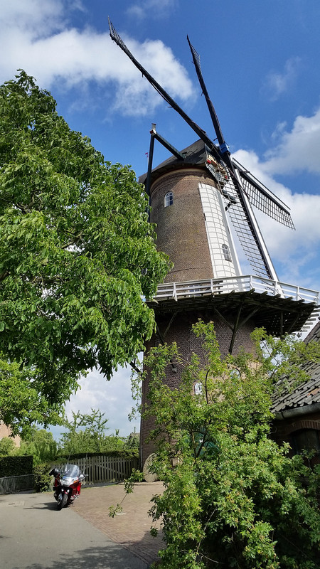 19928308671_bb8fc03560_k