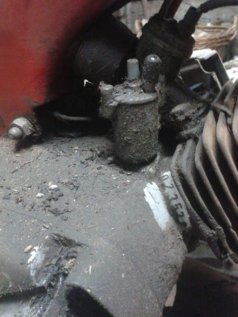 15723829_10209846061982482_675261649_n